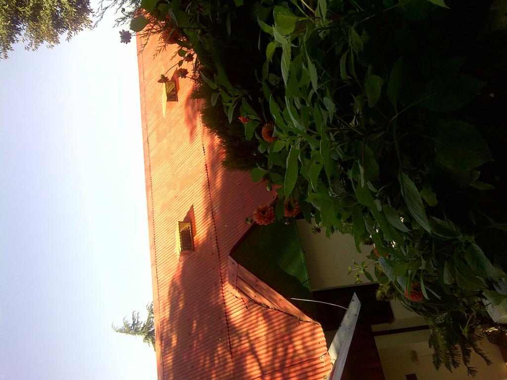 Vilasa Lall Ji Resort Dalhousie Bagian luar foto